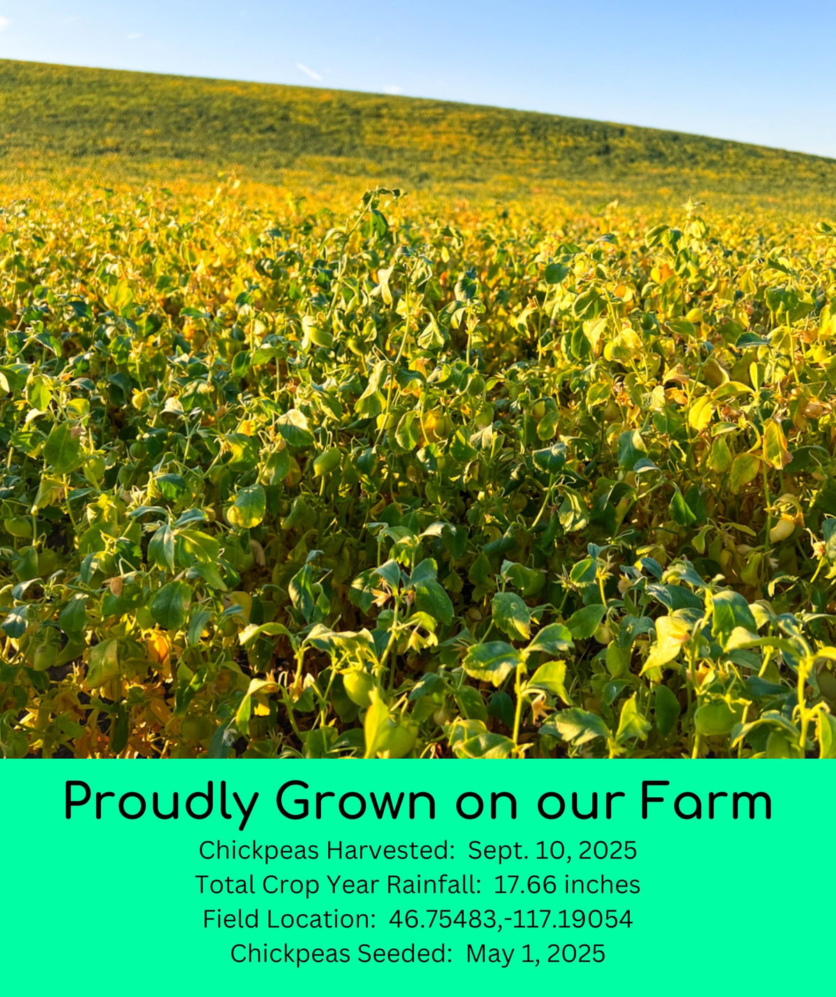 Palouse Brand chickpeas field-origin label shows USA grown farming heritage.