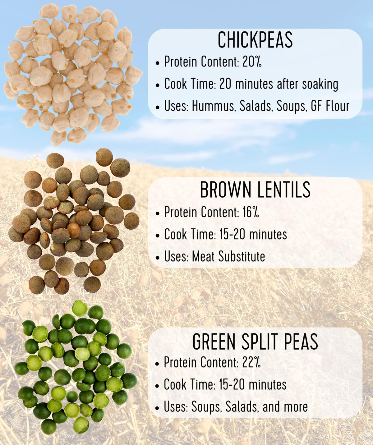 Palouse Brand chickpeas pantry packaging designed for long shelf life and easy storage.