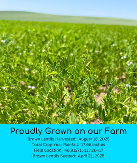 Palouse Brand farm-grown lentils from our 125-year family farm.