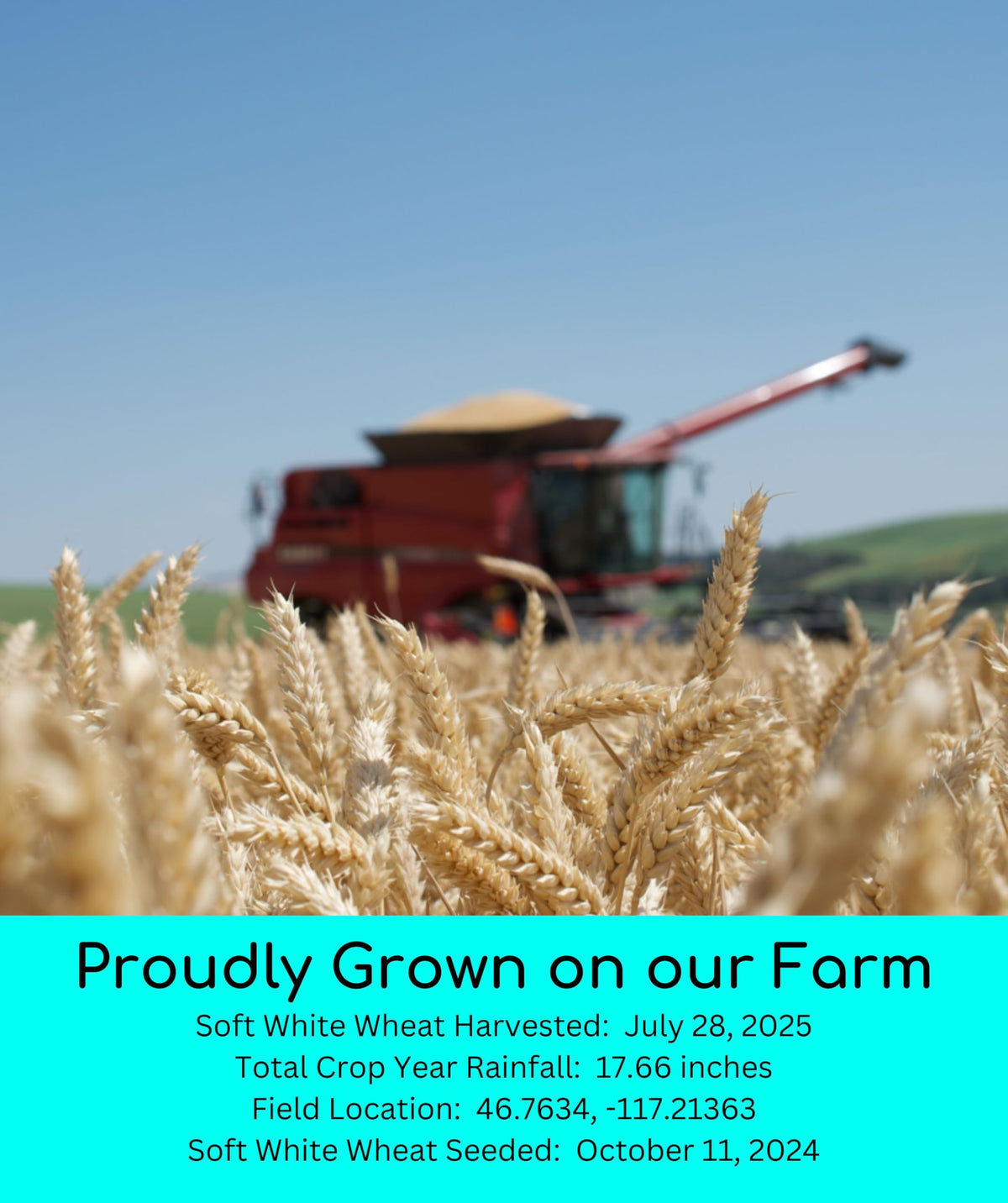 Palouse Brand glyphosate-free wheat berries certificate on packaging.
