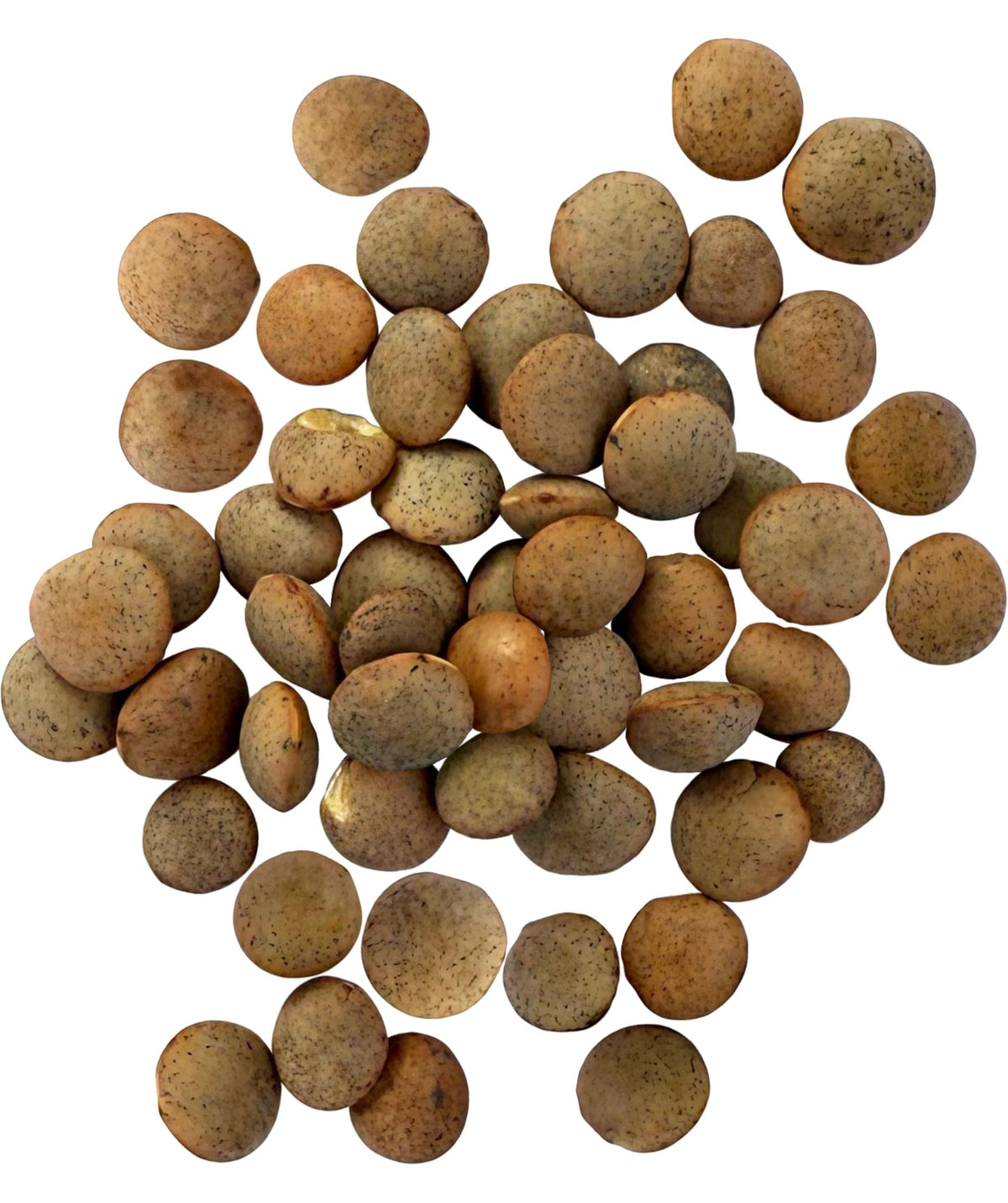 Palouse Brand lentils in a brown dry bag, perfect for pantry storage.