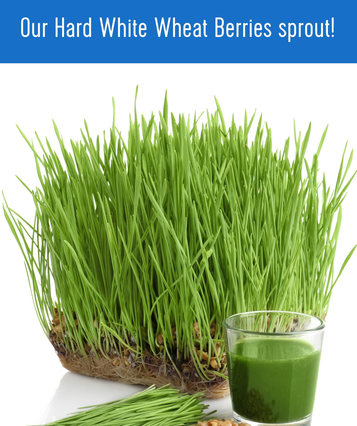Palouse Brand triple-clean processing image emphasizes hygiene and safety.