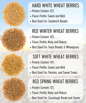Palouse Brand wheat berries on pantry shelf next to labels.