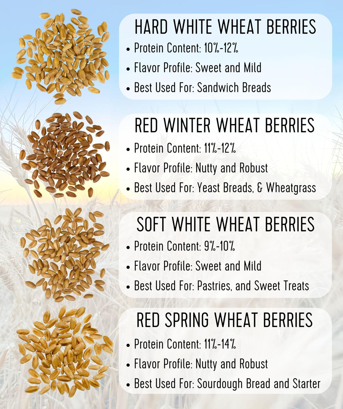 Palouse Brand Wheat Berries product packaging on shelf signals sturdy, airtight storage.