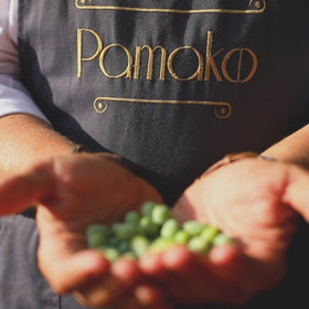 Pamako New harvest 2025/26 bottle, fresh EVOO for everyday cooking