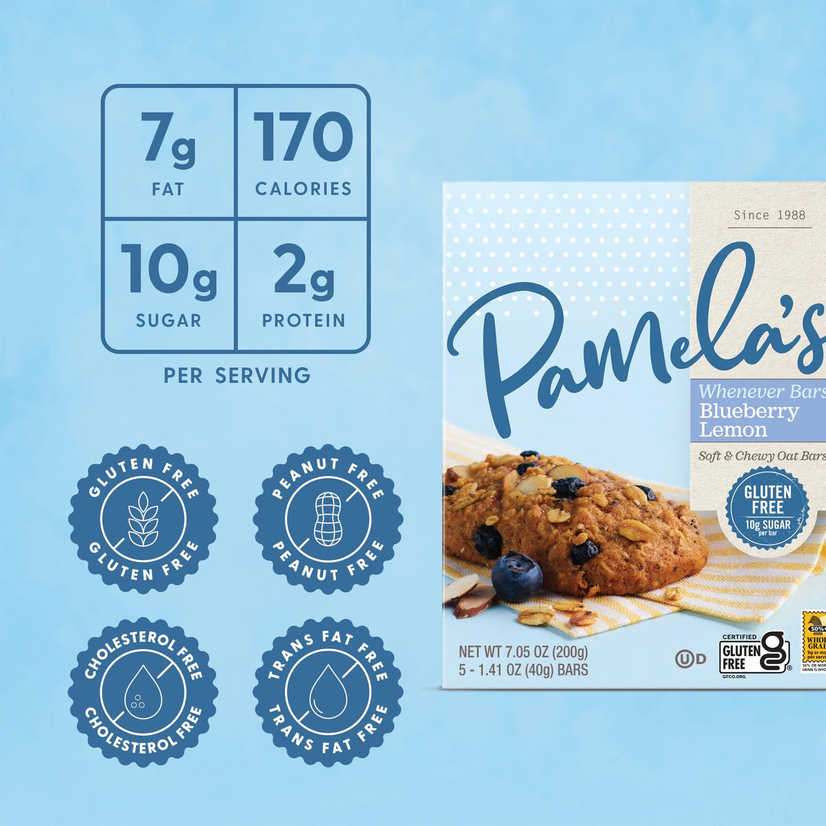 Close-up of Pamela's blueberry-lemon bar showing oats and chia texture.