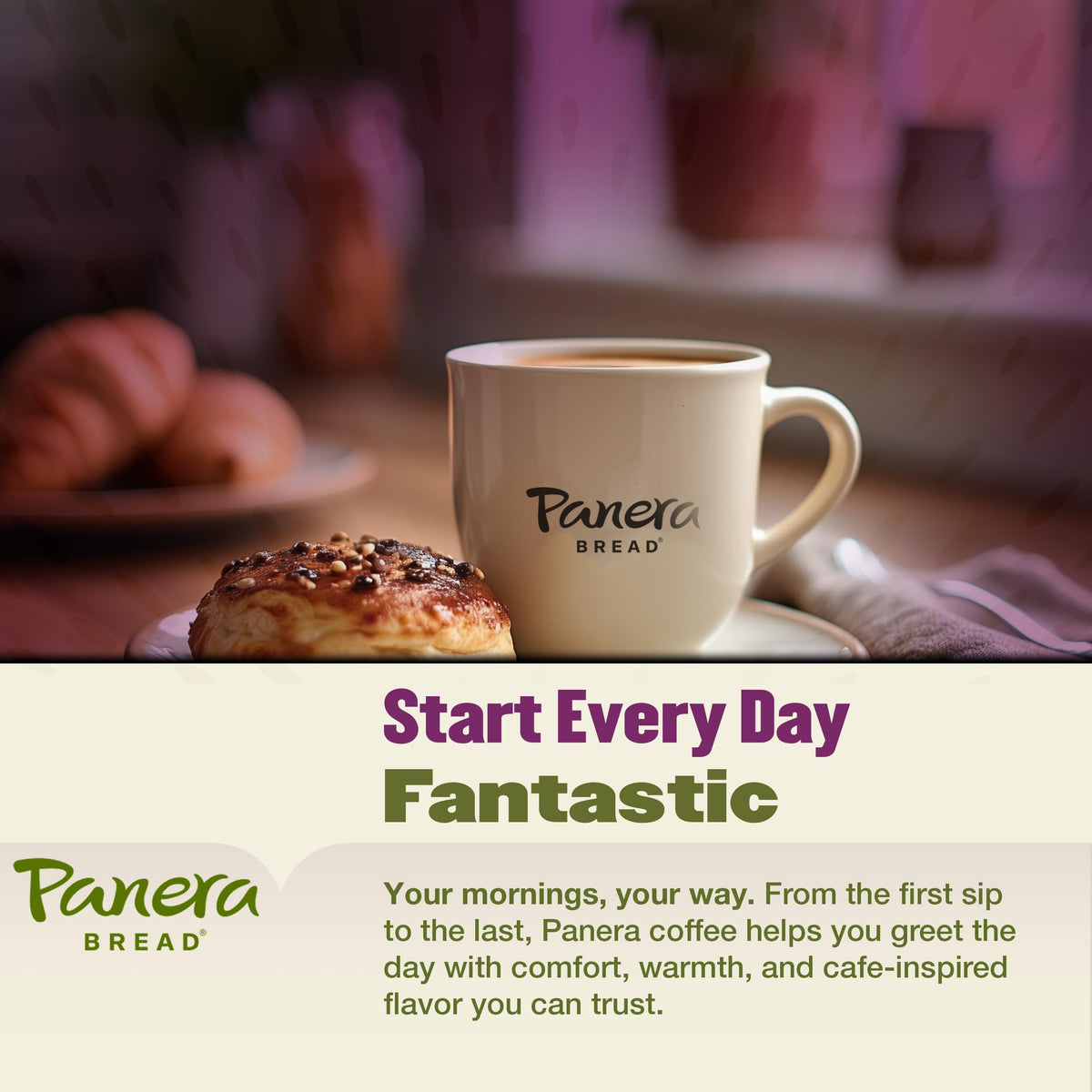 Panera Hazelnut Crème ground coffee texture showing uniform particles for even brew.