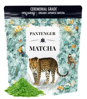 Pantenger ceremonial matcha emerald green powder delivers silky texture for daily rituals.
