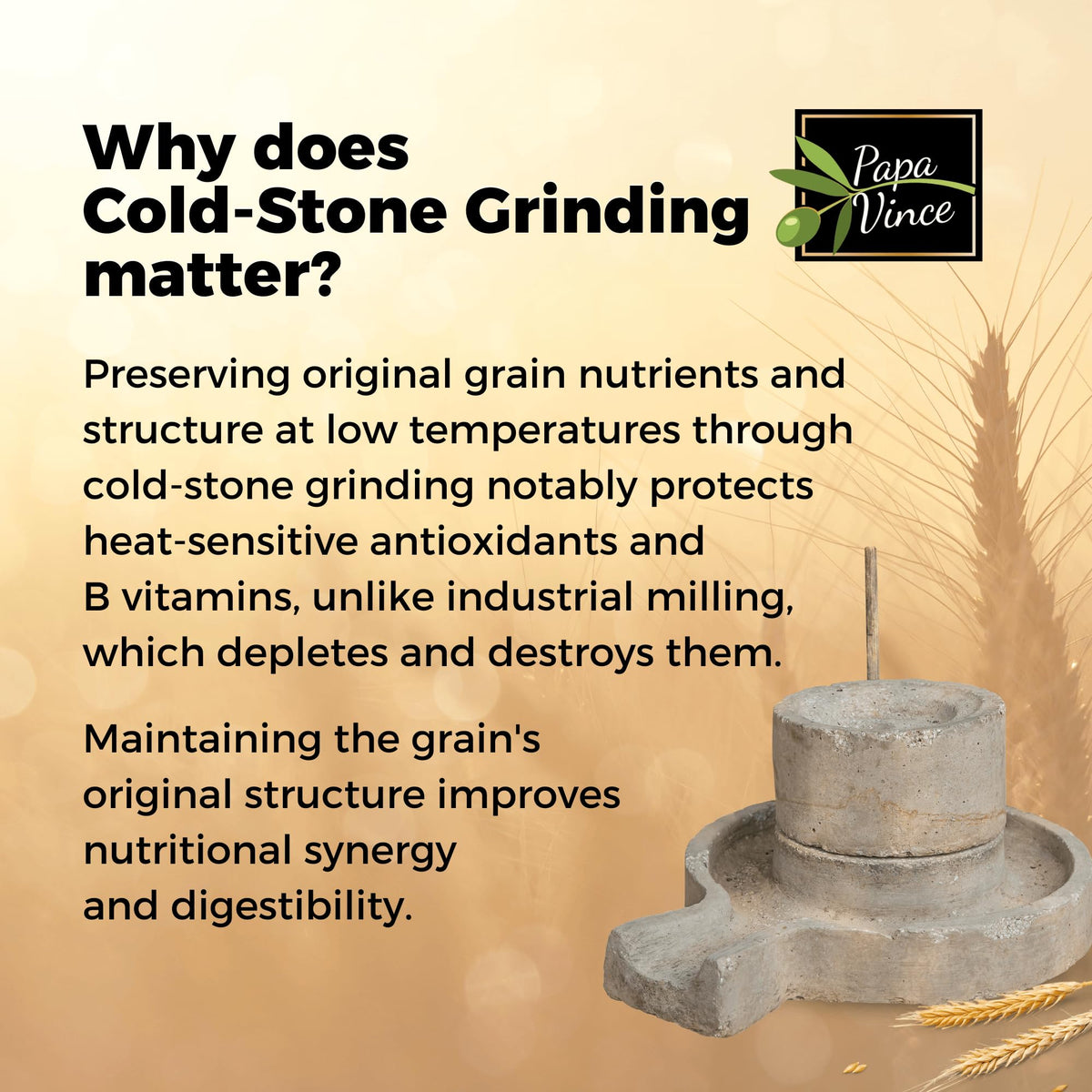 Papa Vince non-enriched pasta spotlights naturally occurring nutrients from whole grain.
