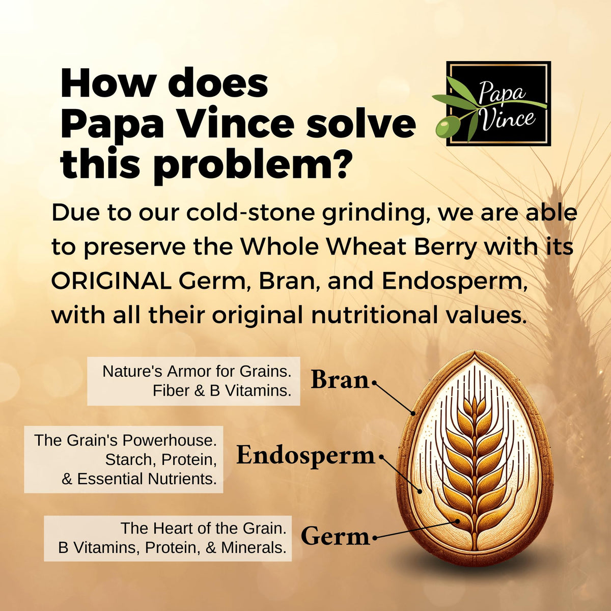 Papa Vince two-ingredient pasta showcases ancient grain simplicity for clean, honest flavor.