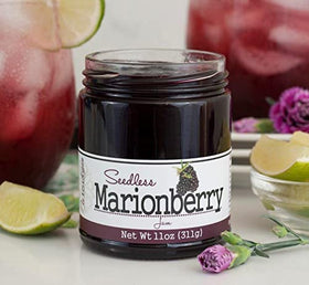 Paradigm Foodworks Seedless Marionberry Jam as dessert topping; elevates pastries with natural sweetness.