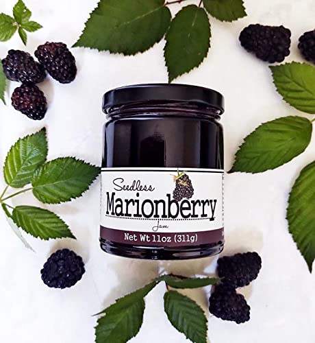 Paradigm Foodworks Seedless Marionberry Jam label; Northwest-sourced berries, premium quality in every jar.