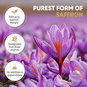 Param Kesar high-altitude saffron harvest—mountain-grown saffron with distinctive aroma.