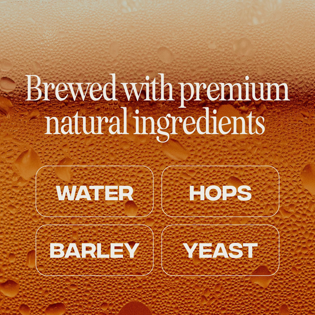 Partake non-alcoholic IPA label highlights natural ingredients and gluten-friendly profile