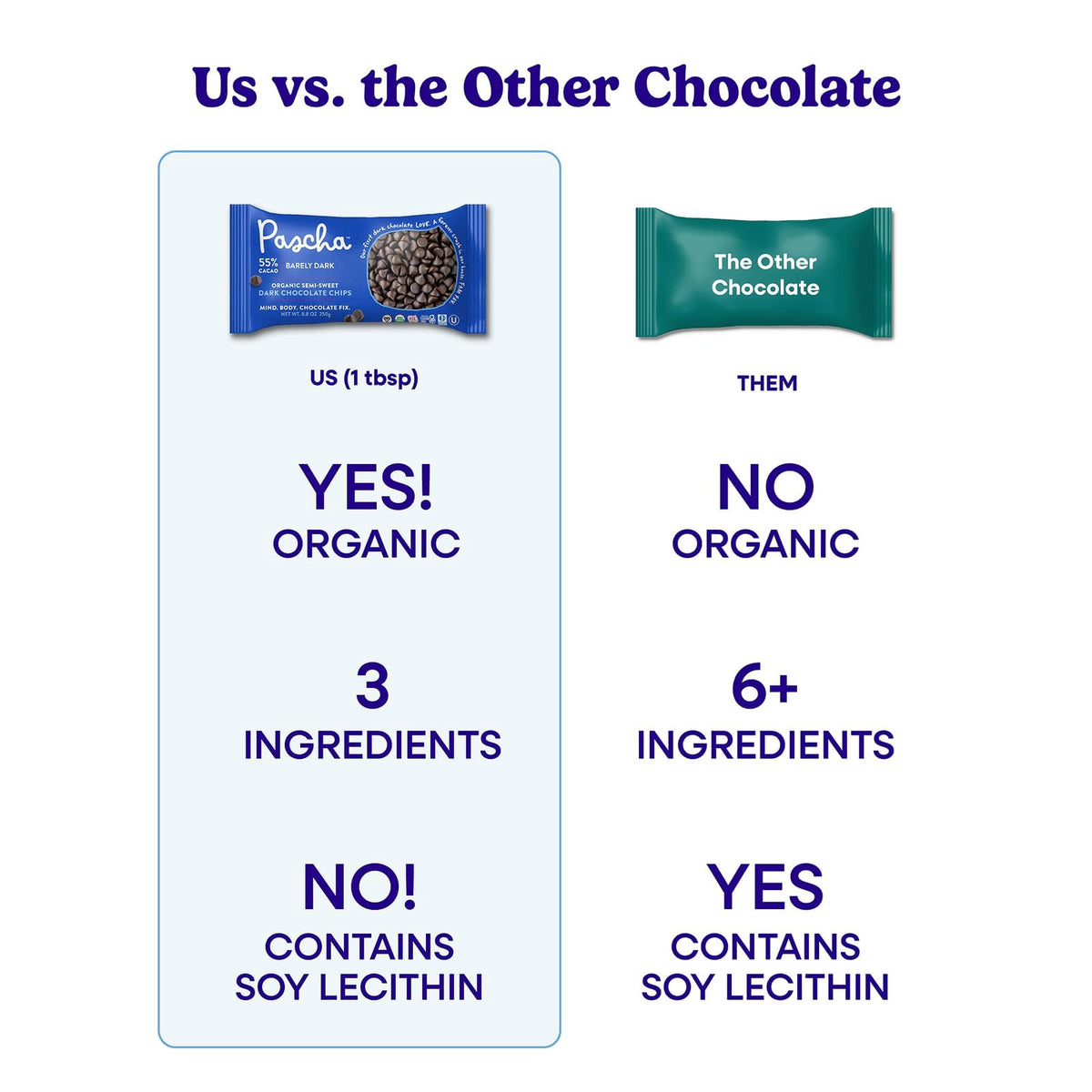 Bean-to-bar cacao process illustration featuring Pascha cacao beans.
