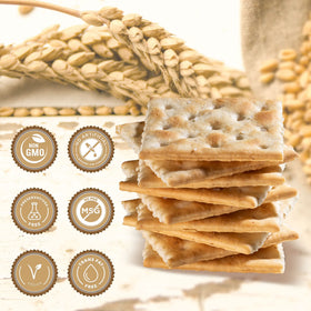 Paskesz Simply Saltines crackers close-up, showing crisp texture ideal for dunking.