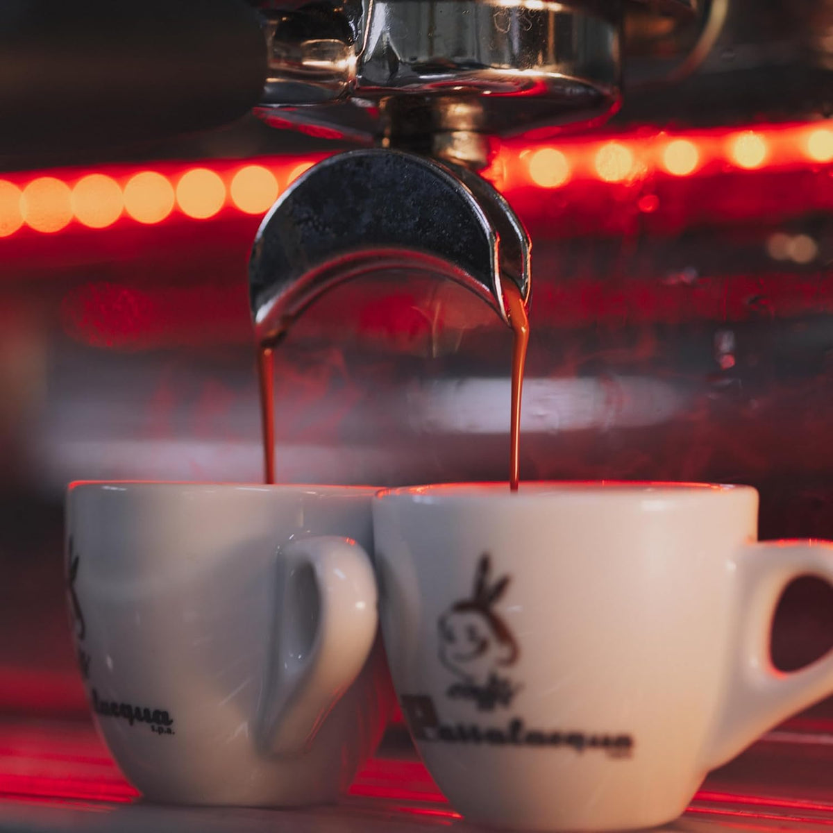 Passalacqua Cremador roasted beans displayed for a rich, full-bodied brew.