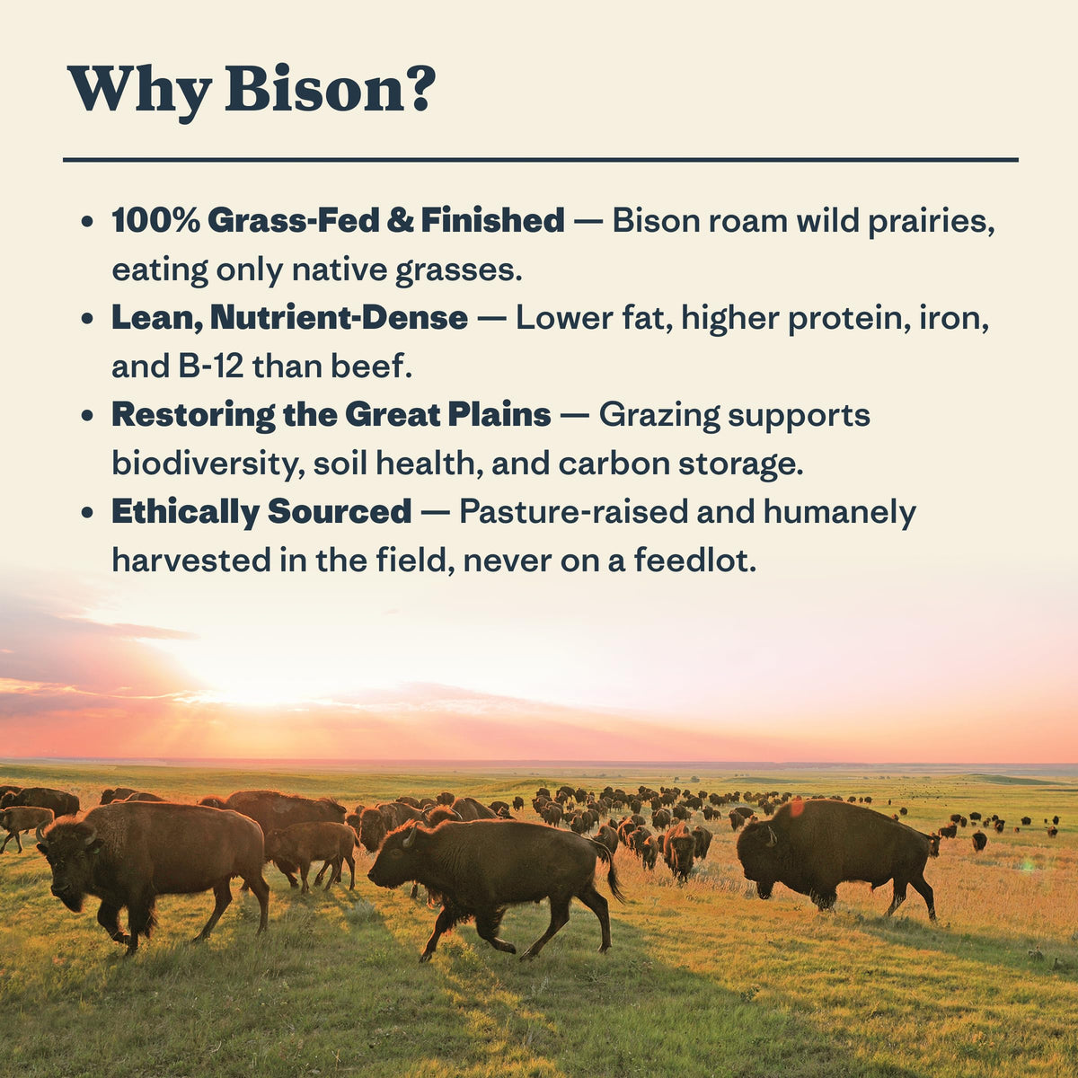 Patagonia Provisions bison sticks in pocket for quick trail snack