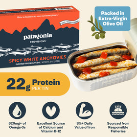 Patagonia Provisions spicy white anchovies in an opened can ready for quick meals.
