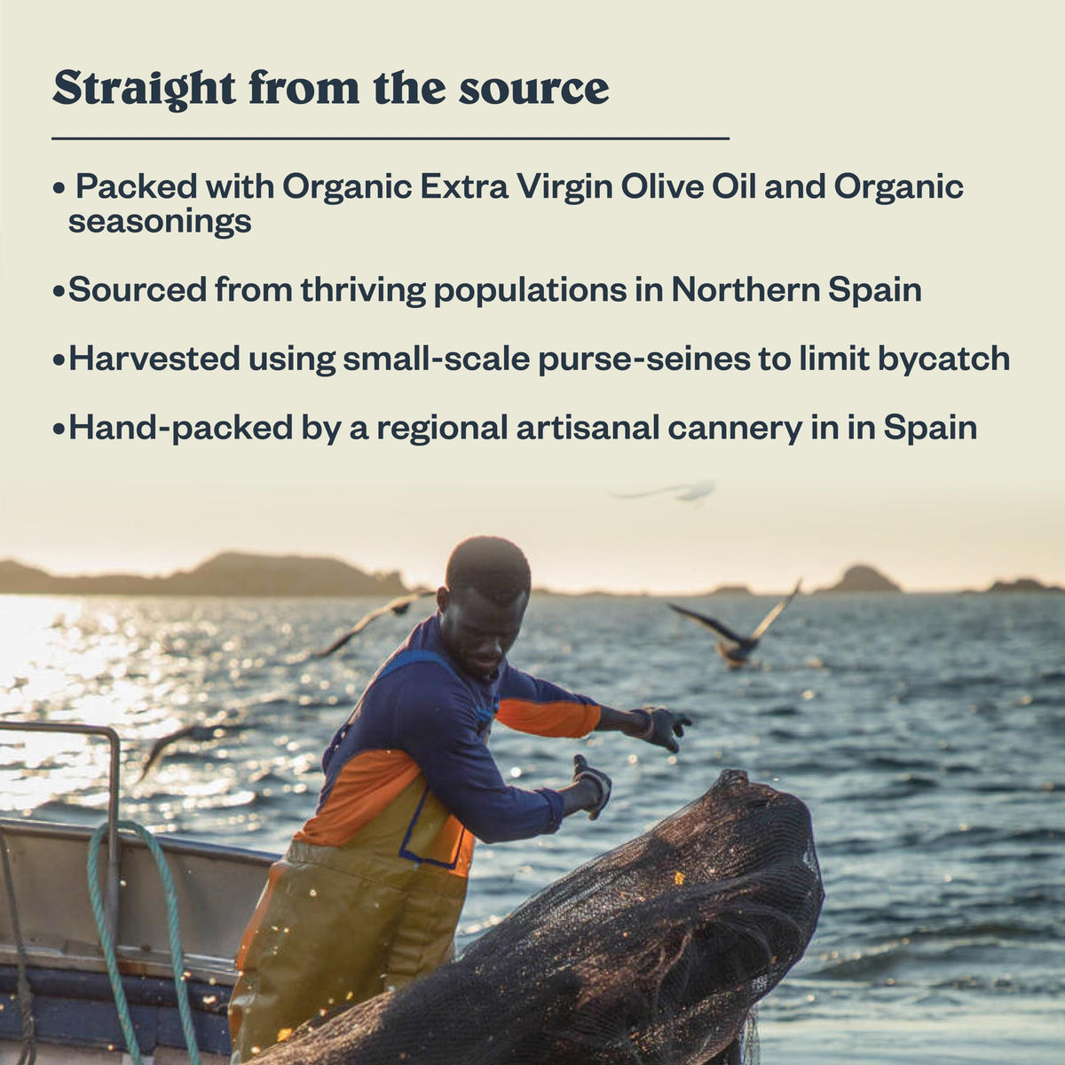 Patagonia Provisions spicy white anchovies served on salad for a protein-packed meal.