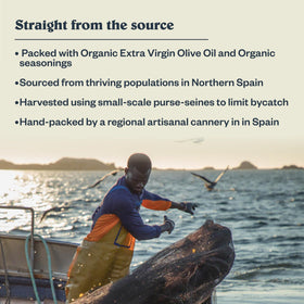 Patagonia Provisions spicy white anchovies served on salad for a protein-packed meal.