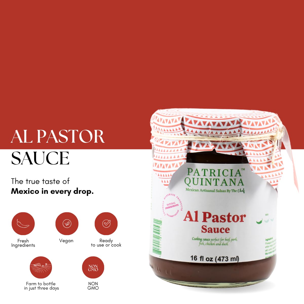 Patricia Quintana Al Pastor sauce ingredients close-up highlighting ancho peppers and spices.