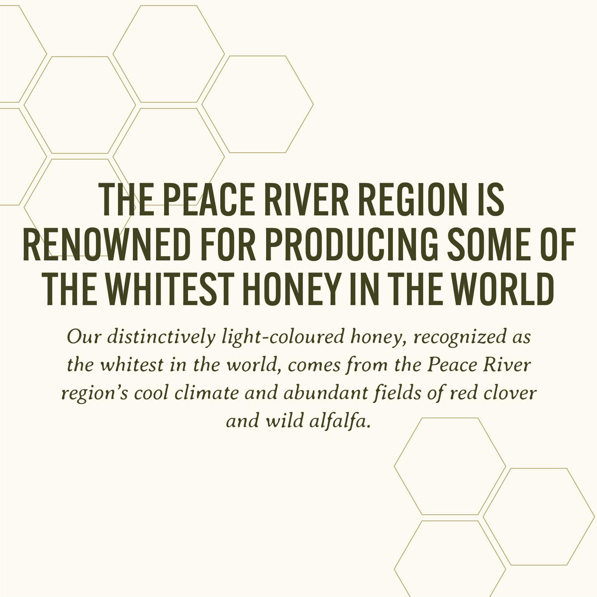 Close-up of Peace River Honey creamy texture.