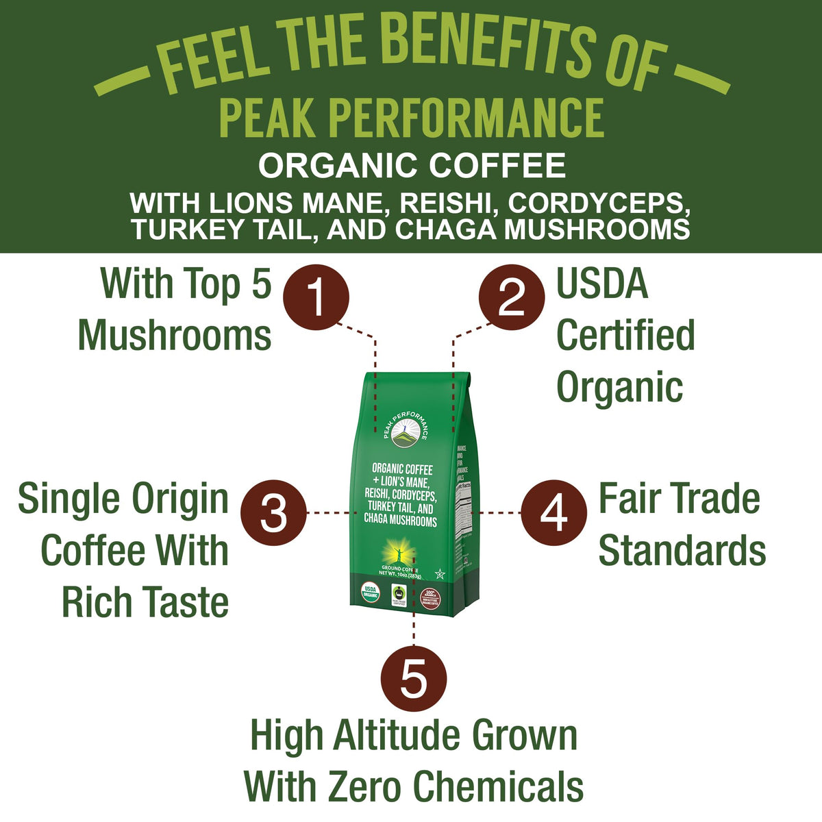 Mushroom blend benefits infographic from Peak Performance for immune health and brain focus