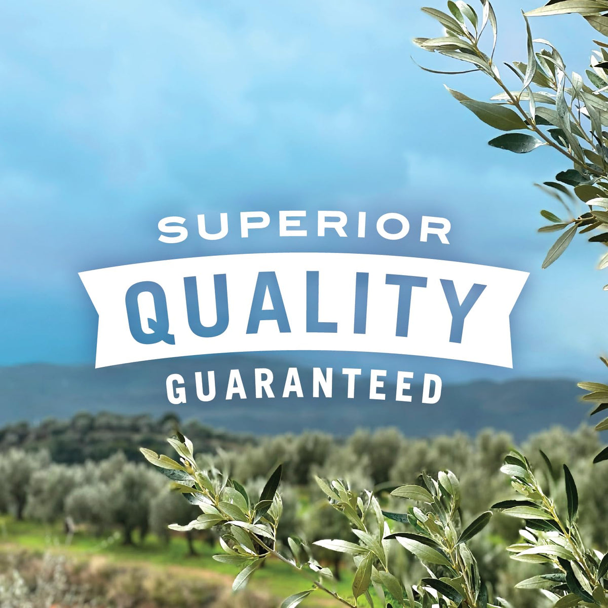 Pearls To Go ready-to-eat olives with no liquid mess, ideal for gym bags