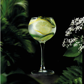 Pearsons Botanicals London Dry non-alcoholic gin glass with tonic and lemon slice.