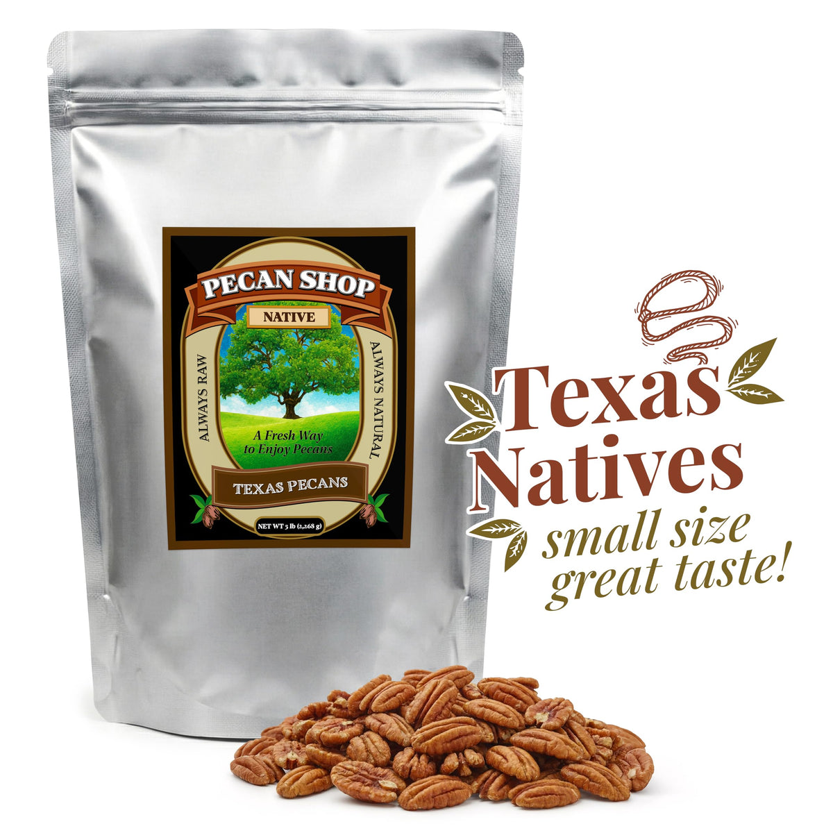 Pecan Shop Texas native pecans displayed on a kitchen shelf.