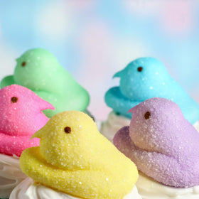 Peeps blue box display of fluffy chicks for egg hunts and sharing.
