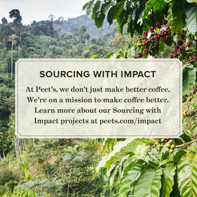 Peet's Keurig-compatible pods for quick, consistent cups.