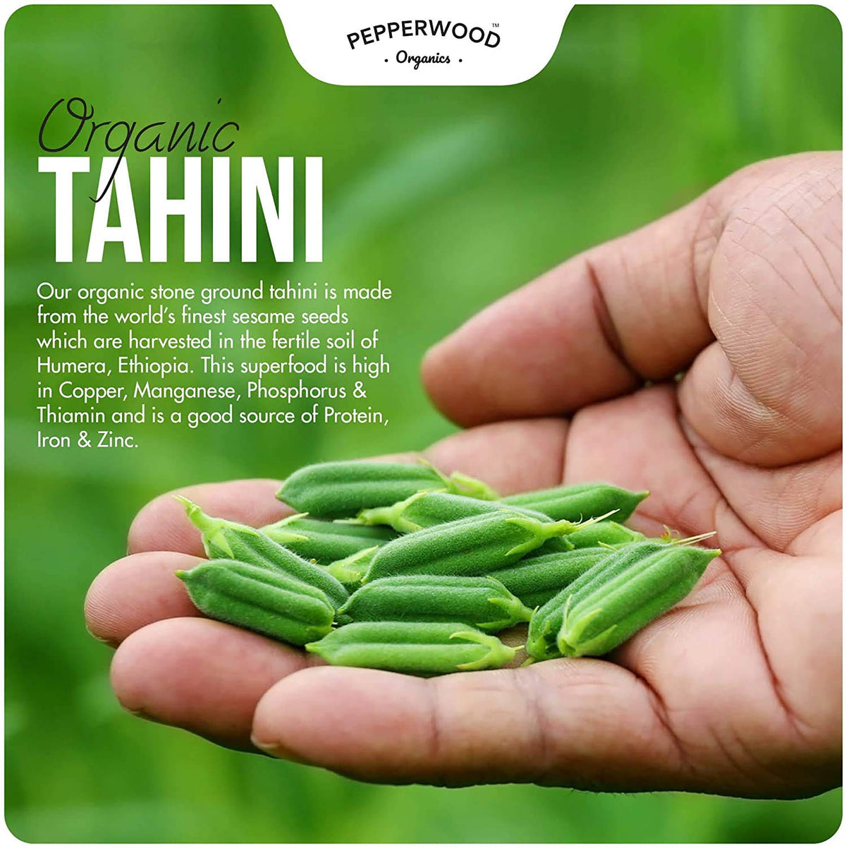 Tahini added to smoothie, Pepperwood Organics, creamy texture