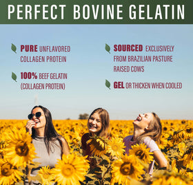 Close-up label on Perfect Supplements Bovine Gelatin bottle showing gluten-free and non-GMO claims.