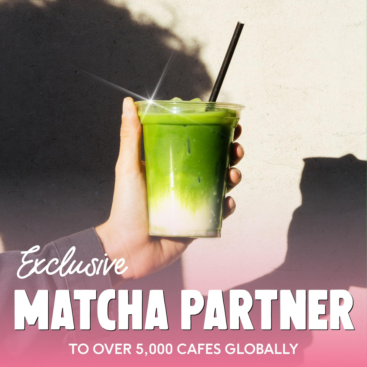 Perfect Ted Matcha ceremonial grade label highlights vegan and gluten-free ingredients.