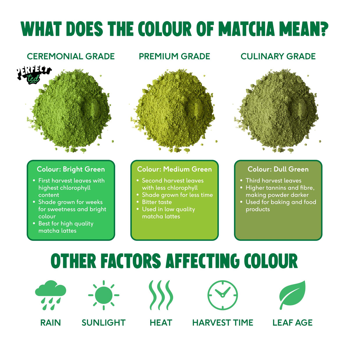 Perfect Ted Matcha Pistachio Powder brand-logo highlights trusted, premium brand credibility