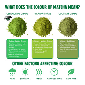 Perfect Ted Matcha Pistachio Powder brand-logo highlights trusted, premium brand credibility