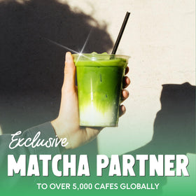 Bowl and whisk with PerfectTed Matcha powder demonstrates easy preparation and consistency.