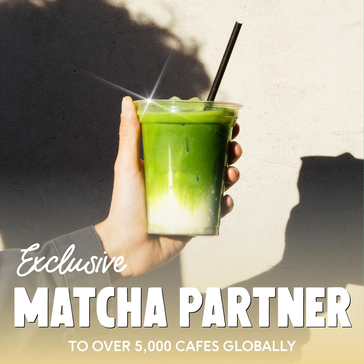 Perfect Ted latte with vanilla foam showcases creamy matcha drink