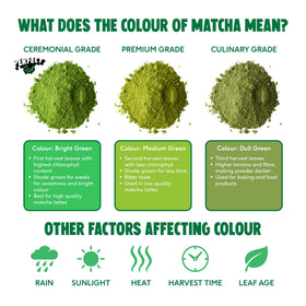 Prepared latte with PerfectTed Matcha powder, illustrating creamy texture and vibrant color.