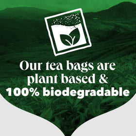 PG Tips Original plant-based bags highlighting sustainable packaging