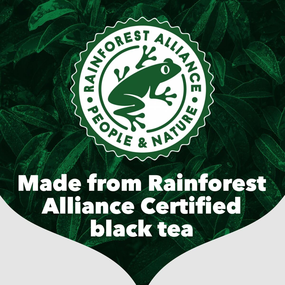 PG Tips Original recyclable pack emphasizing eco-friendly packaging
