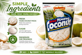Philippine Brand dried young coconut snacks with tropical slice idea for toppings