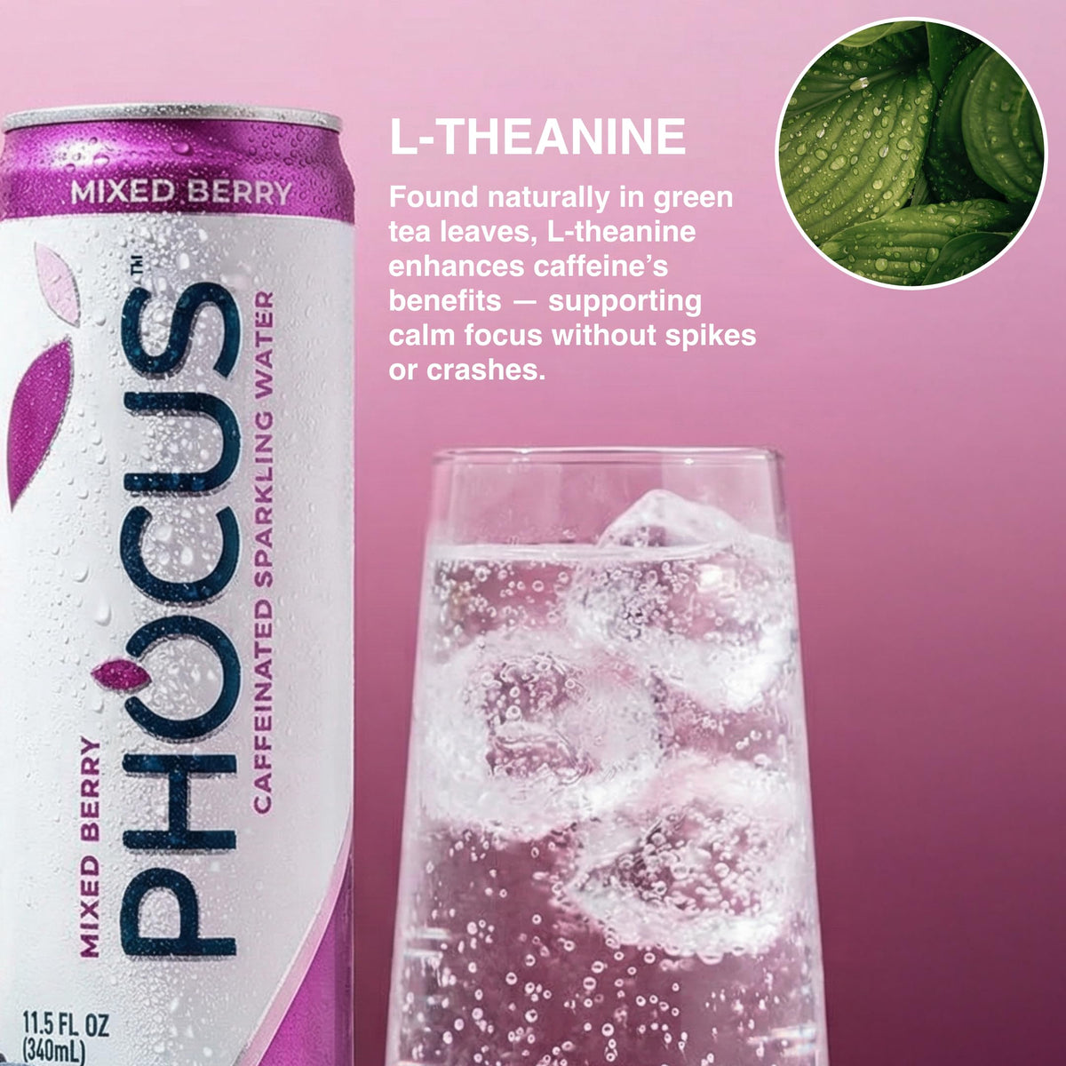 CLEAR CUT PHOCUS 12-pack display highlighting value and portability