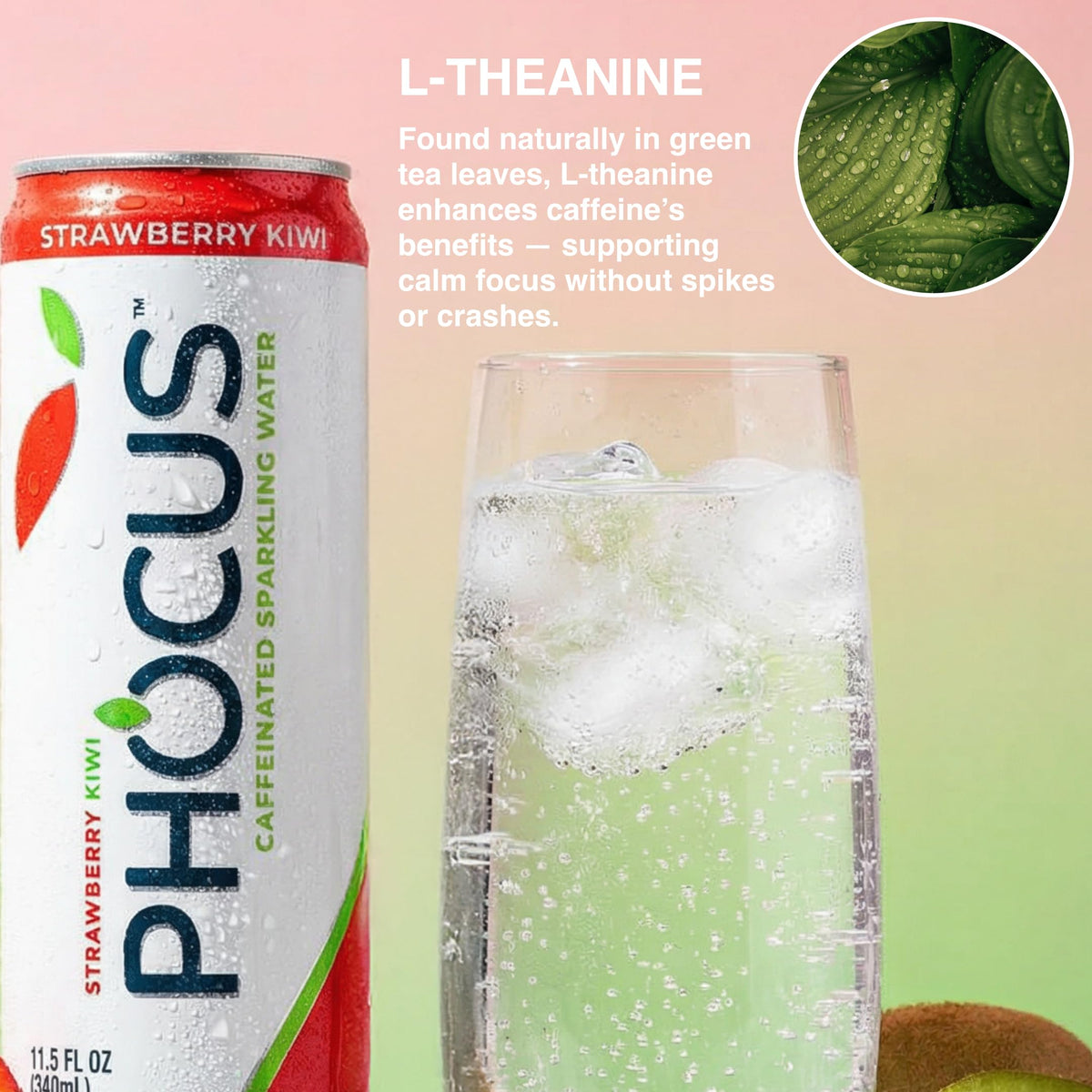 Phocus label front highlights zero calories and vegan-friendly formula