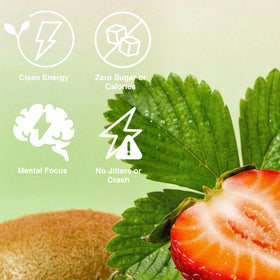 Phocus 12-pack enables easy refrigeration and sharing for steady alertness