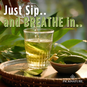 PickNature antioxidant tea in a glass cup, supports digestion.