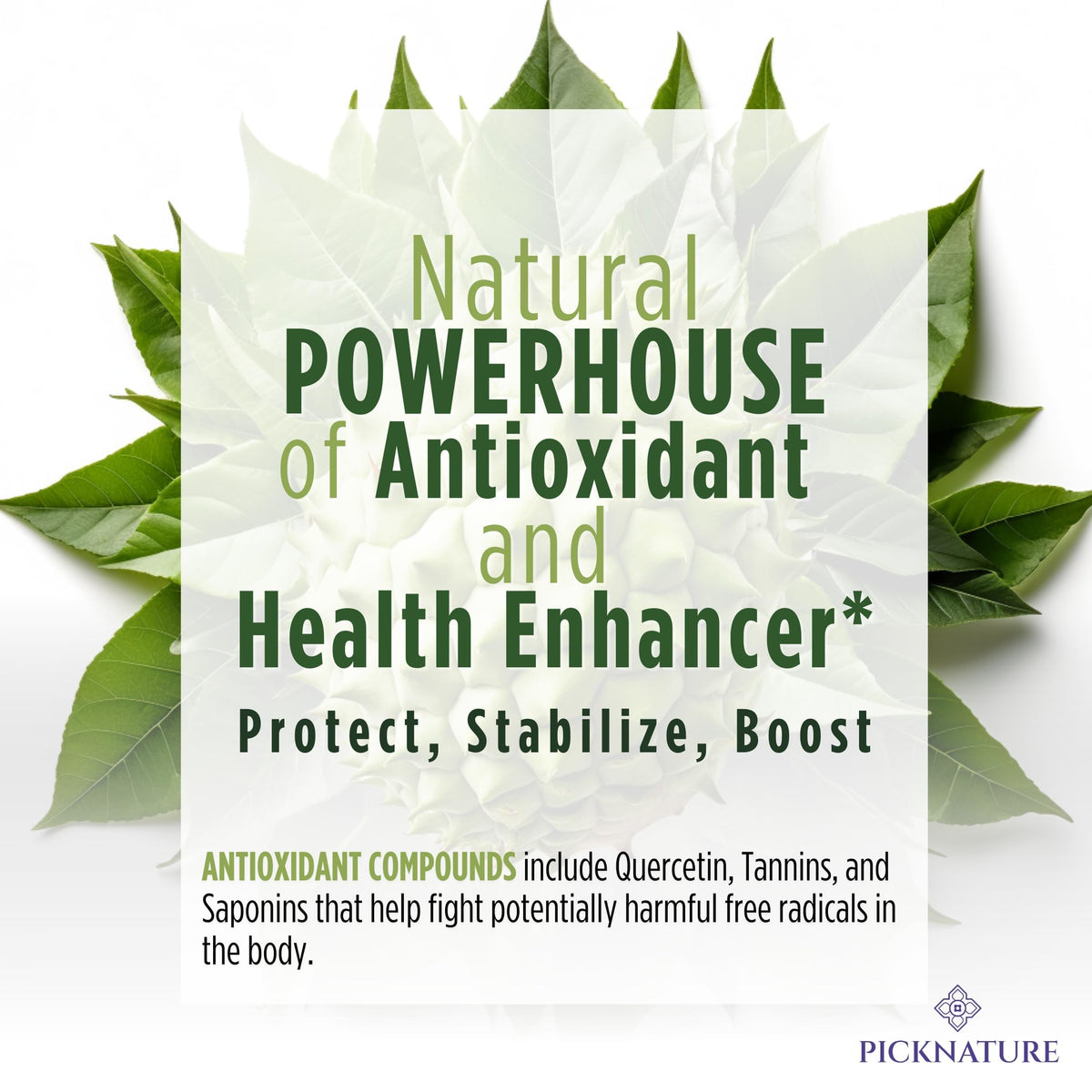 PickNature soursop tea bundle close-up, showcasing premium Thai origin leaves.