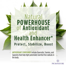 PickNature soursop tea bundle close-up, showcasing premium Thai origin leaves.